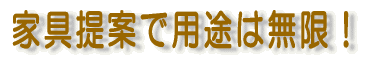 �Ƌ��Ăŗp�r�͖����I